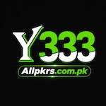 Y333 Game
