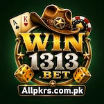 WIN1313